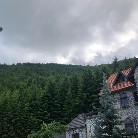 Andelshus Alpin