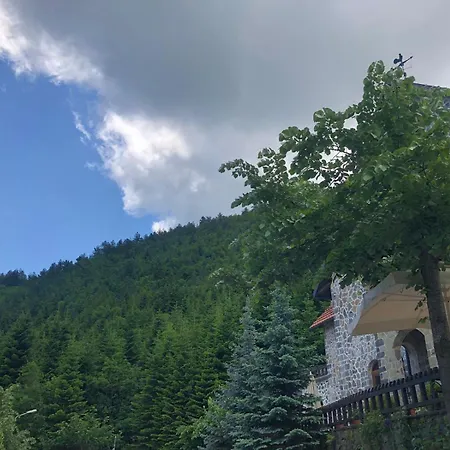 Andelshus Alpin