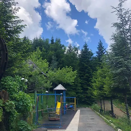 Alpin