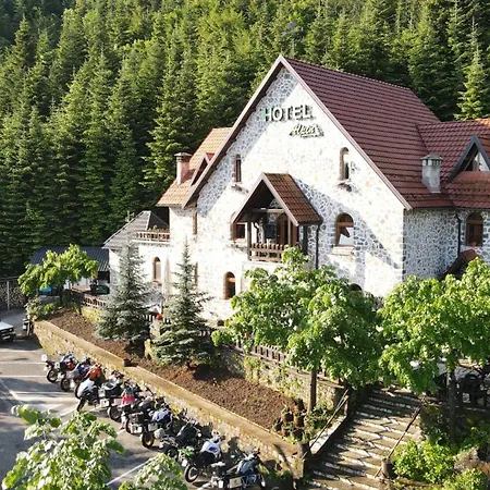Andelshus Alpin
